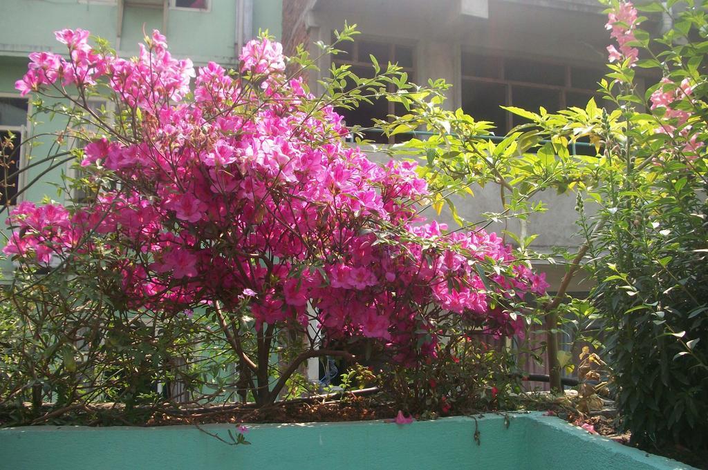 Hotel Impala Garden Katmandu Kültér fotó