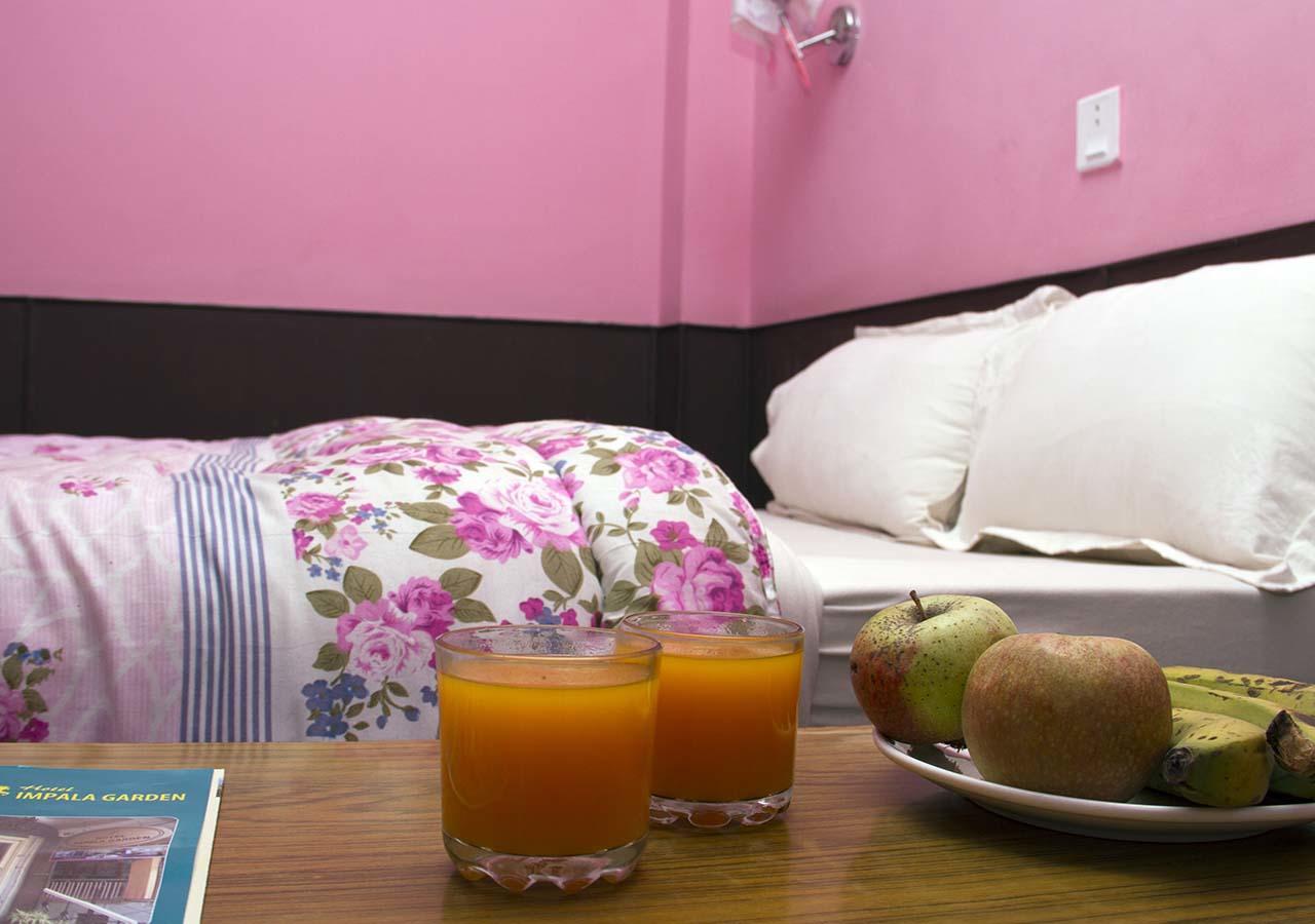 Hotel Impala Garden Katmandu Kültér fotó